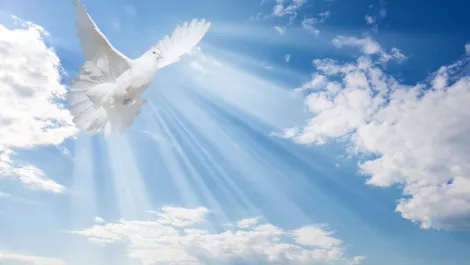 Gettyimages 1150120893