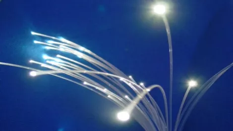 Fibre Watch: City of snails