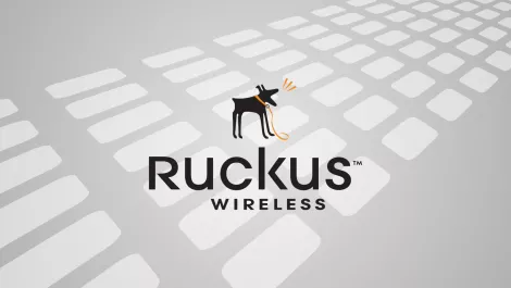 Partner ruckus 3