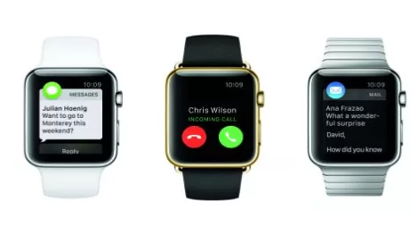 Apple watch cr