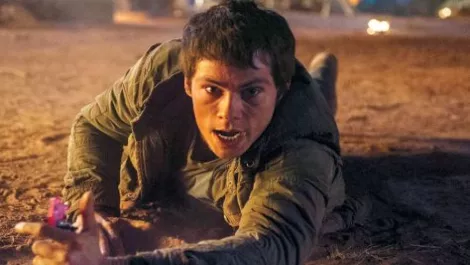 Scorch trials