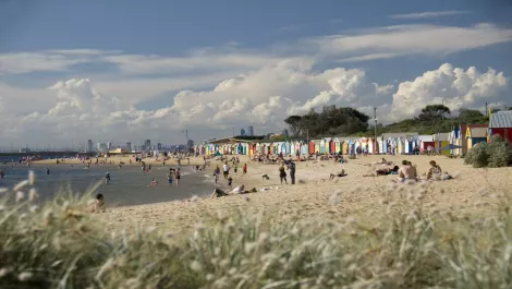 A8e135f858474beda9f3e95d2562be41