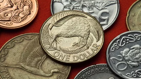 Kiwi survey finds skilled staff crucial to small business growth