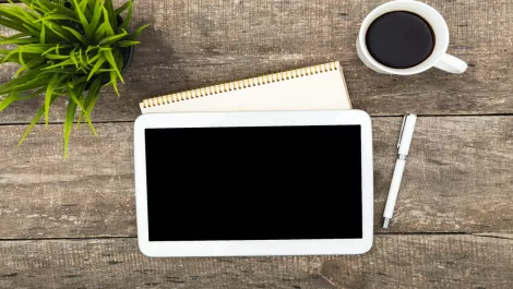 Thinkstockphotos 490245620