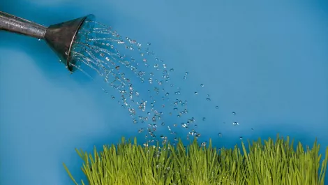 Thinkstockphotos 78481168 1