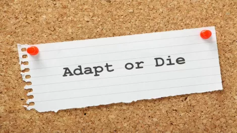 Thinkstockphotos 455606403