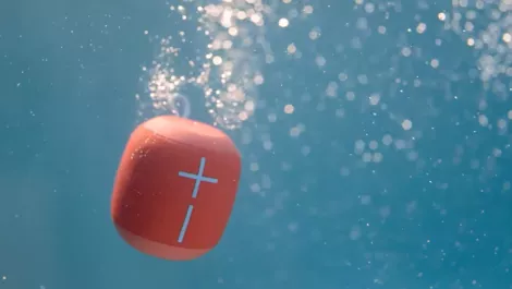 Winnerwinnerchickendinner