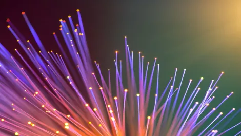 Thinkstockphotos 521995812