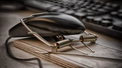 Thinkstockphotos 638383350