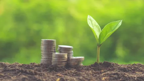 Thinkstockphotos 506067332 1