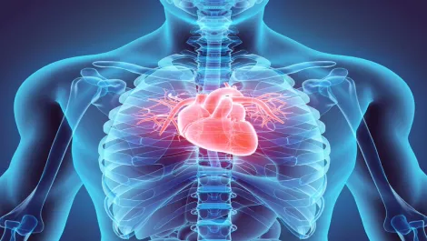 US research team takes biometric scanning to heart