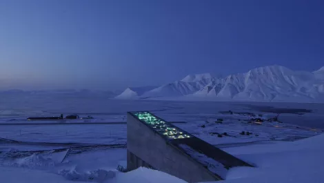 1 bg norway svalberd