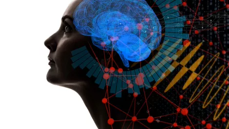 Thinkstockphotos 851956150