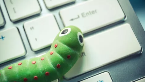 Thinkstockphotos 517158992