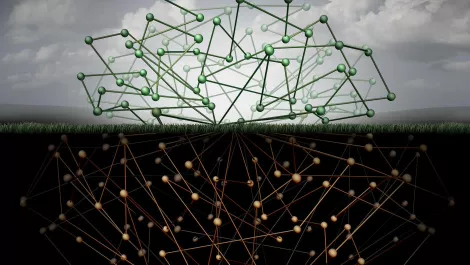 Thinkstockphotos 509347442