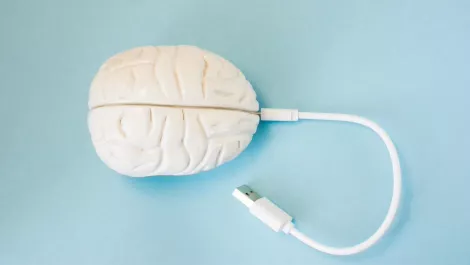 Thinkstockphotos 898512468 2tjg6qw