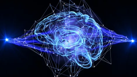 Gettyimages 892092130