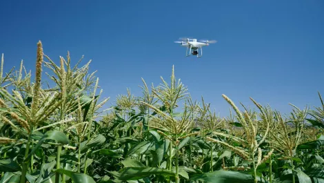 P4 multispectral precision ag 1