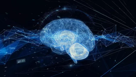 Gettyimages 1001817594