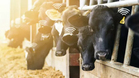 Gettyimages 1016287014