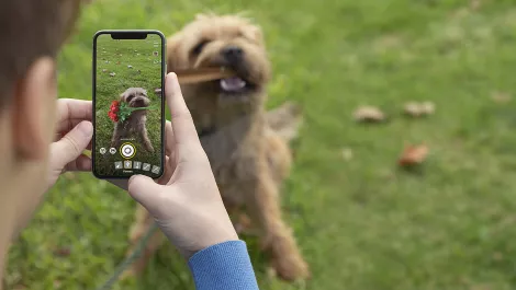 Efp1505 dss pr stills good lens flower 26a0125 1 ret 16x9