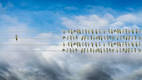 Gettyimages 902027524