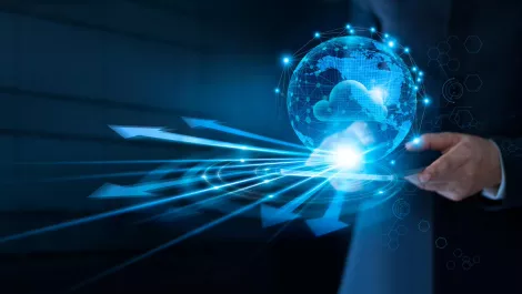 Cloud business model nicelabel