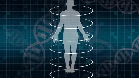 Adobestock 272255865