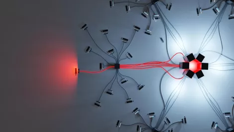 Gettyimages 1235321335