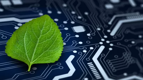 Gettyimages 1355908066