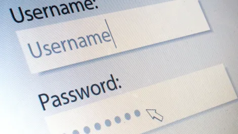 Gettyimages 516916037