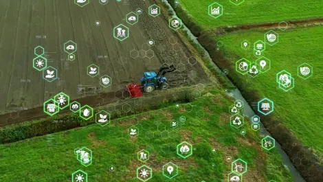 Gettyimages 1317567377