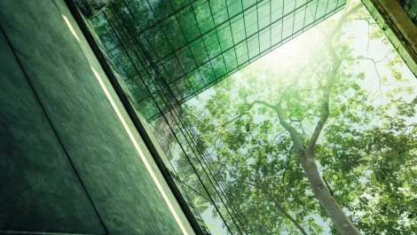 Gettyimages 1442960535  1 