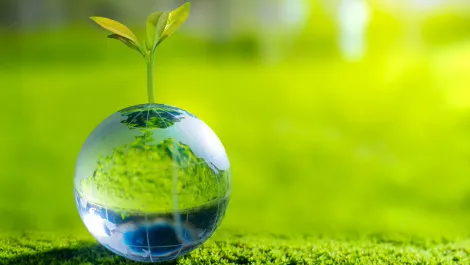 Gettyimages 1442487455