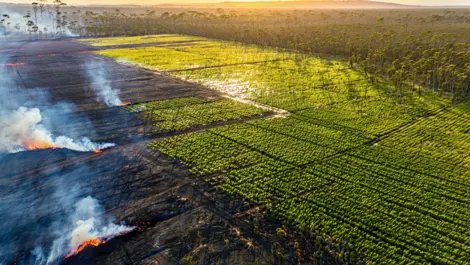 Techday 775ff626426a9e95da4f