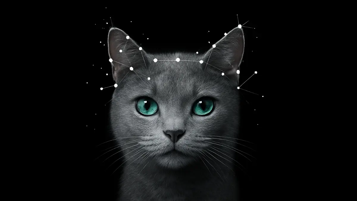 AI 'Cat Decoder' drives DINE sales surge on Amazon